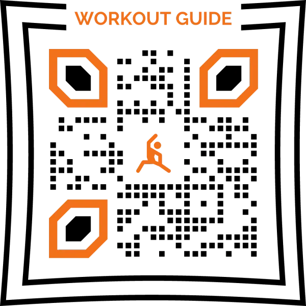 Workout Guide